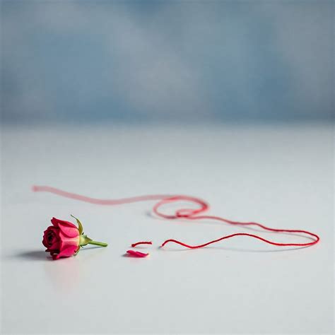 When Deception Strikes: How to Recover from a Friendship Betrayal.